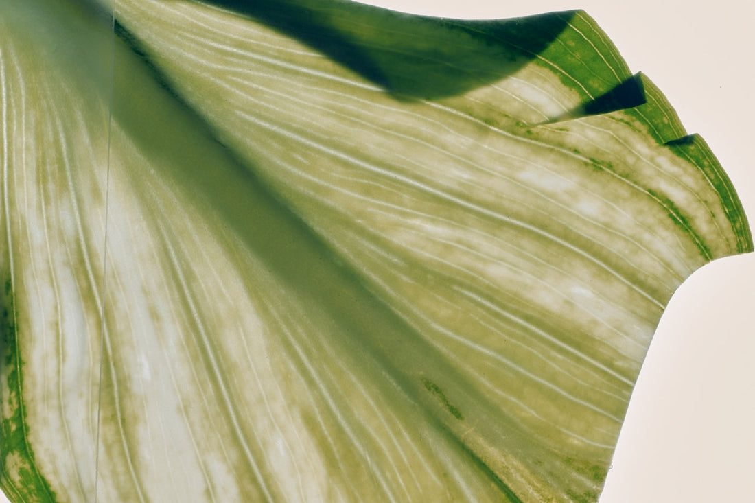 The 7 Pillars of Health You’re Probably Ignoring